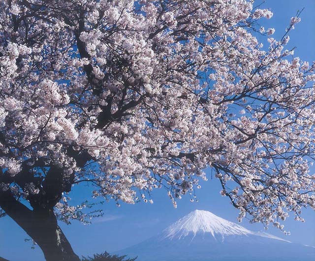 calendar-img-spring